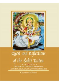 Quest and Reflections of the Sakti Tattva